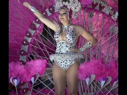 Carnaval de Mula 2013